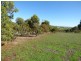 254 Richardson Road, Boston SA 5607