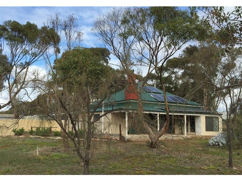 1 Ashman Terrace, Ungarra SA 5607