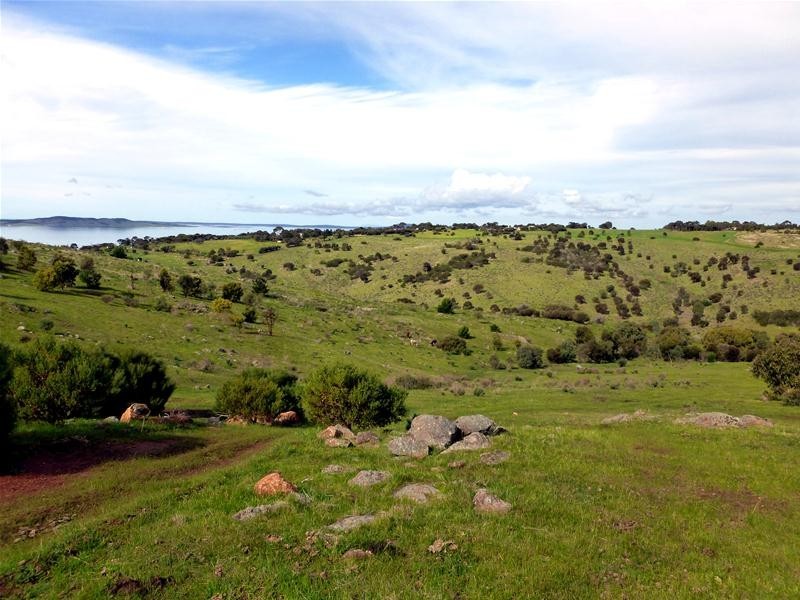 128 Tiatuckia Drive, Boston SA 5607