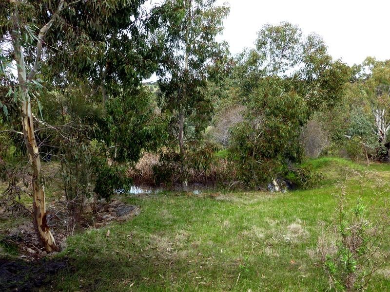 128 Tiatuckia Drive, Boston SA 5607