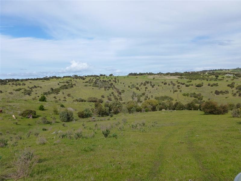 128 Tiatuckia Drive, Boston SA 5607