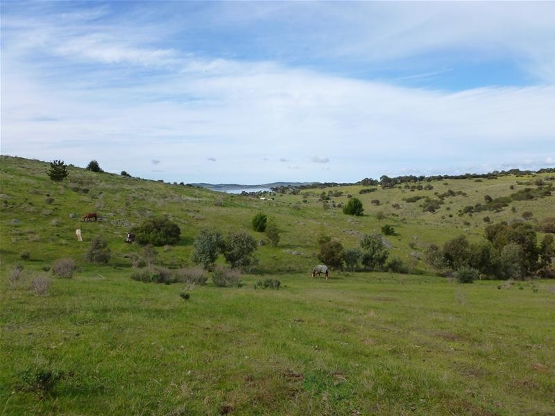 128 Tiatuckia Drive, Boston SA 5607