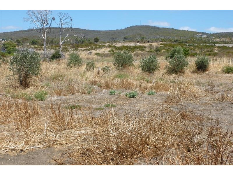 98 Proper Bay Road, Port Lincoln SA 5606