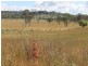 Big Ridge Road, Uralla NSW 2358