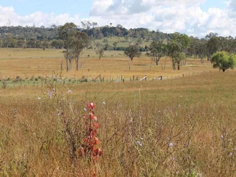 Big Ridge Road, Uralla NSW 2358