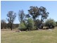 Big Ridge Road, Uralla NSW 2358