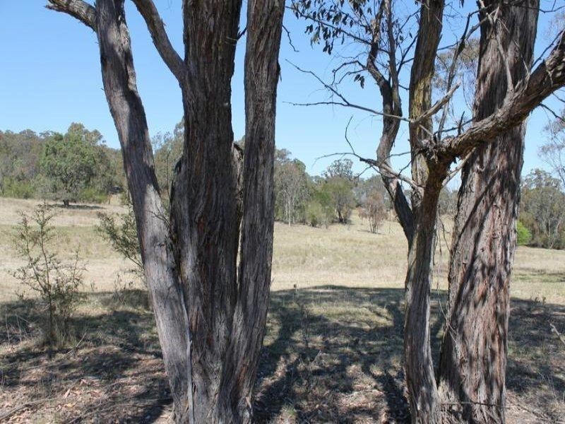 Big Ridge Road, Uralla NSW 2358