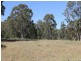 Big Ridge Road, Uralla NSW 2358