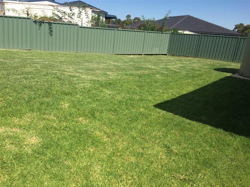 6 Morson Avenue, Armidale NSW 2350