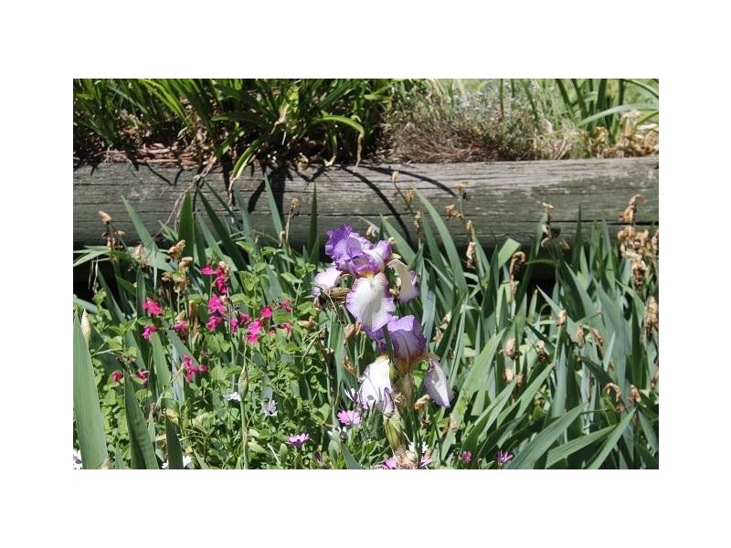 4 Hamilton Crescent, Armidale NSW 2350