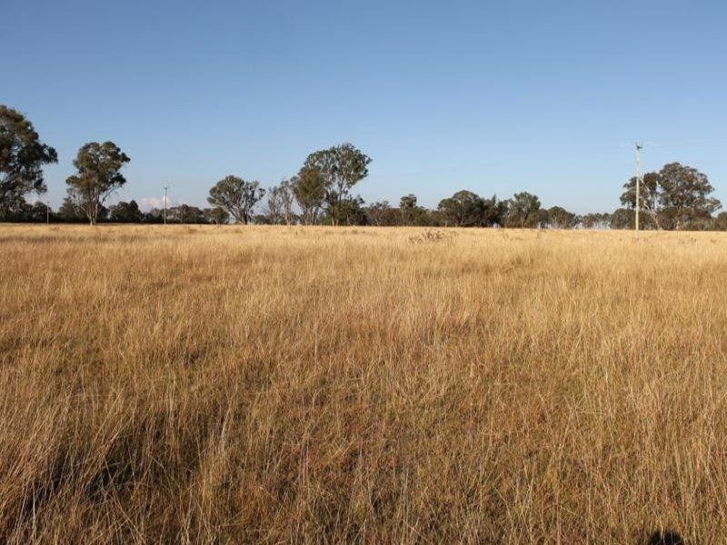 244 Donald Road, Armidale NSW 2350