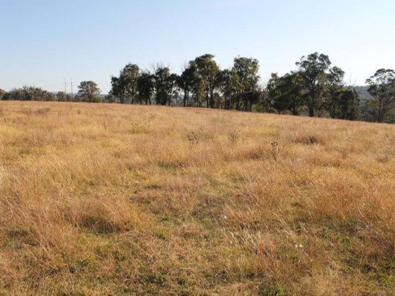 244 Donald Road, Armidale NSW 2350