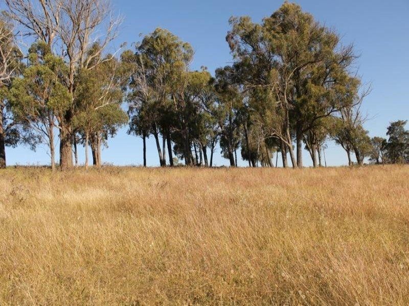 244 Donald Road, Armidale NSW 2350