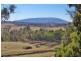 Grandview Crescent, Armidale NSW 2350