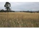Simmons Road, Armidale NSW 2350