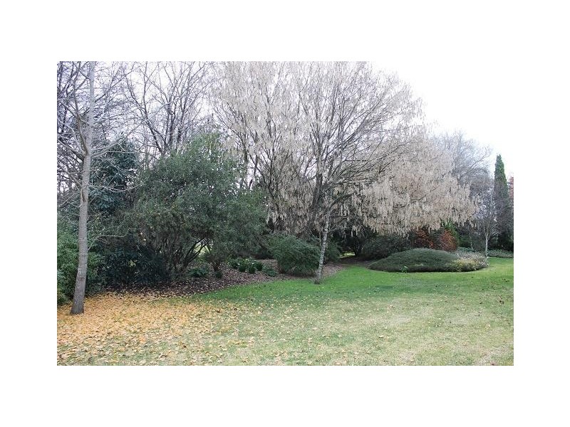 2 Short Street, Armidale NSW 2350