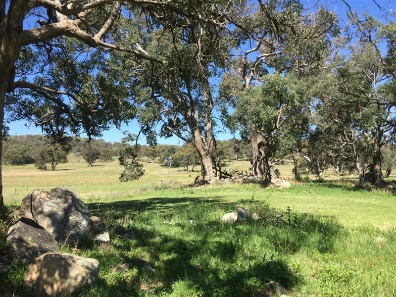 2344 Bundarra Road, Armidale NSW 2350