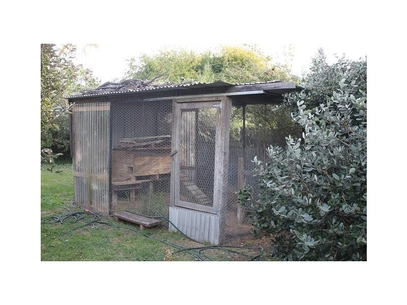 161 Barney Street, Armidale NSW 2350