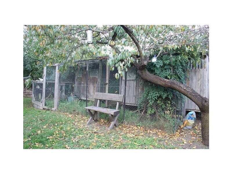 161 Barney Street, Armidale NSW 2350