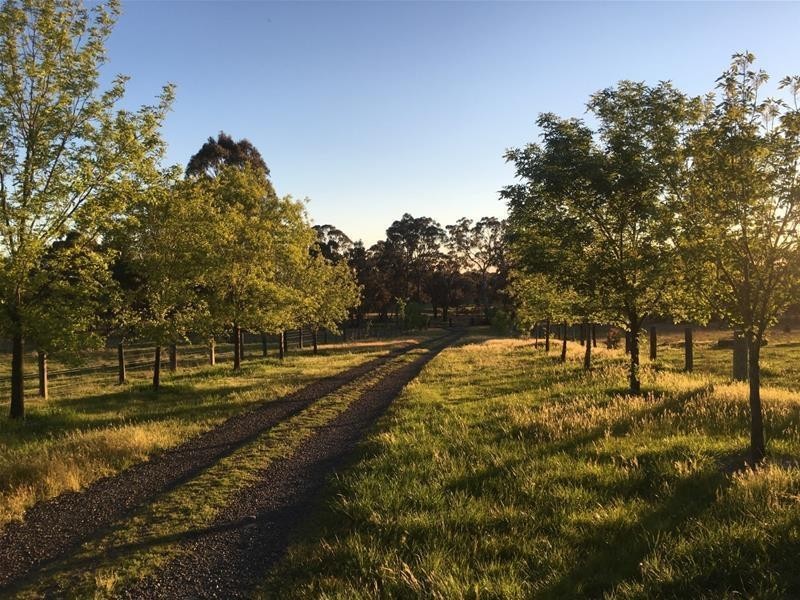 1424 Bundarra Road, Armidale NSW 2350