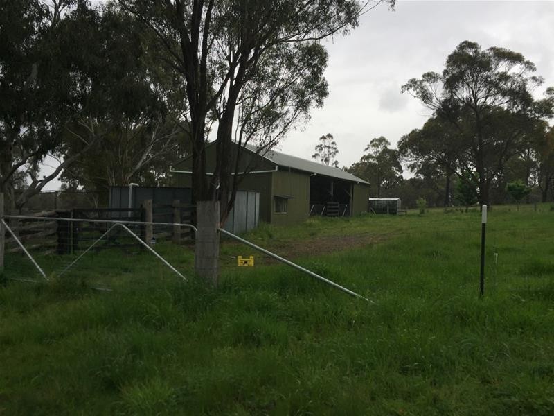 1424 Bundarra Road, Armidale NSW 2350