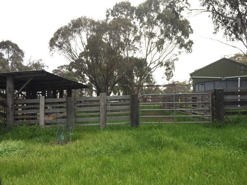 1424 Bundarra Road, Armidale NSW 2350