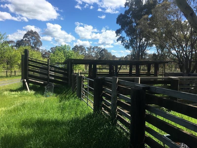 1424 Bundarra Road, Armidale NSW 2350