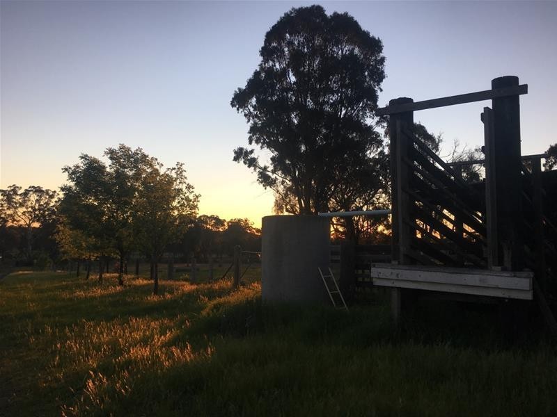 1424 Bundarra Road, Armidale NSW 2350