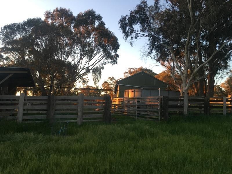 1424 Bundarra Road, Armidale NSW 2350