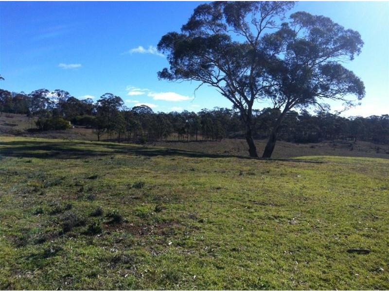 53B The Avenue, Armidale NSW 2350