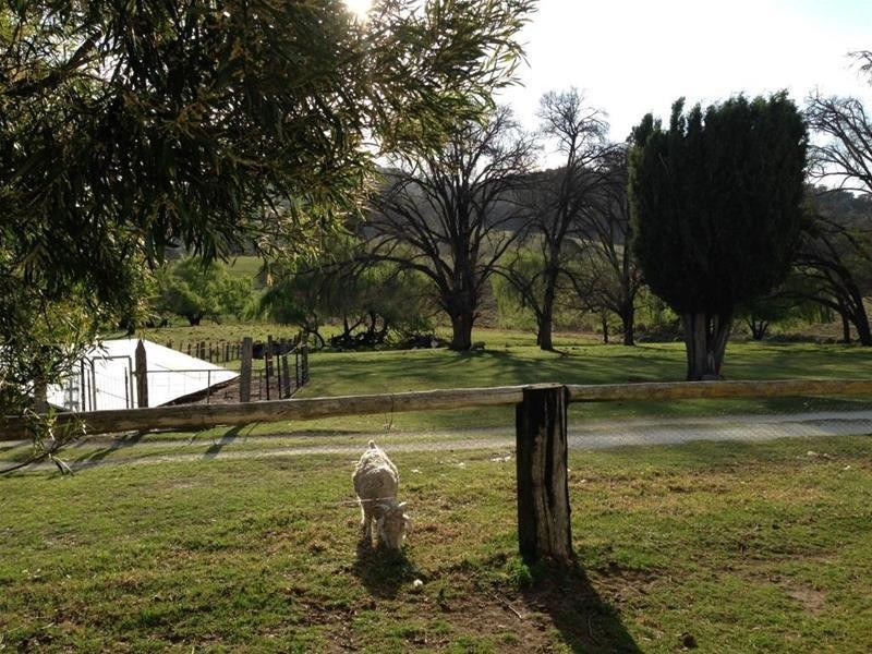 326 Brentwood Road, Armidale NSW 2350