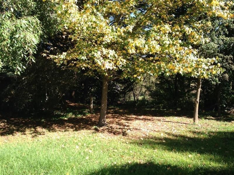 24 Niagara Street, Armidale NSW 2350