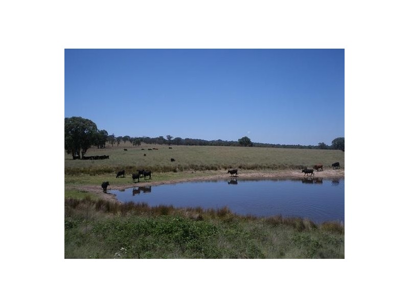 2826 Kingstown Road, Kingstown NSW 2358