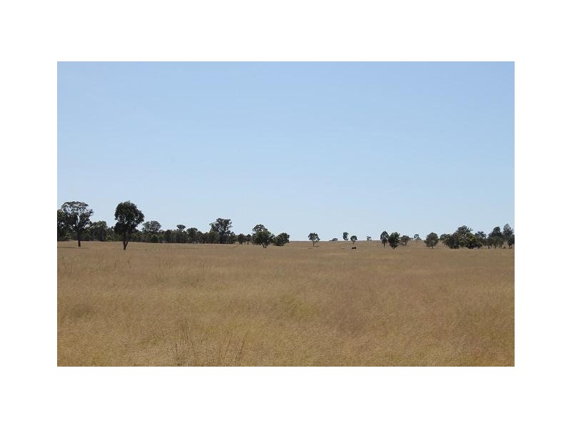 2826 Kingstown Road, Kingstown NSW 2358