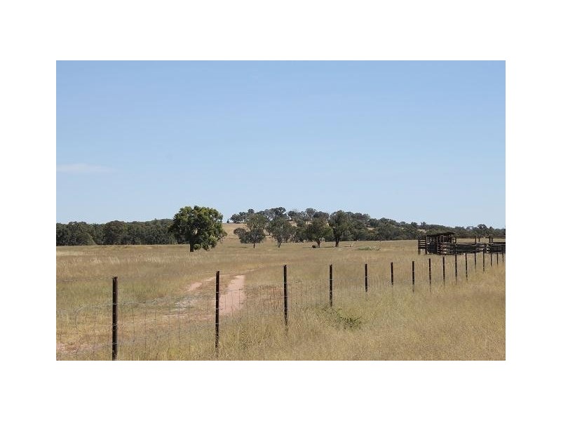 2826 Kingstown Road, Kingstown NSW 2358