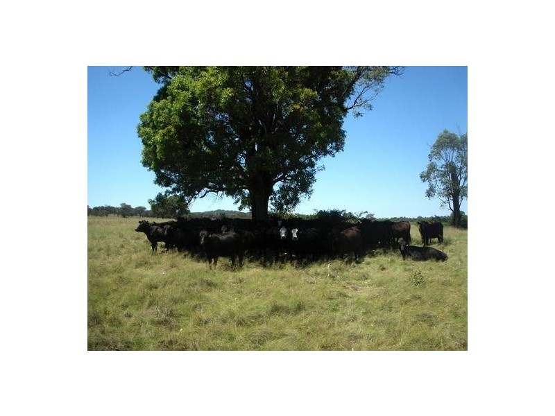 2826 Kingstown Road, Kingstown NSW 2358