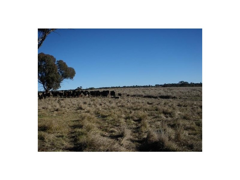 2826 Kingstown Road, Kingstown NSW 2358