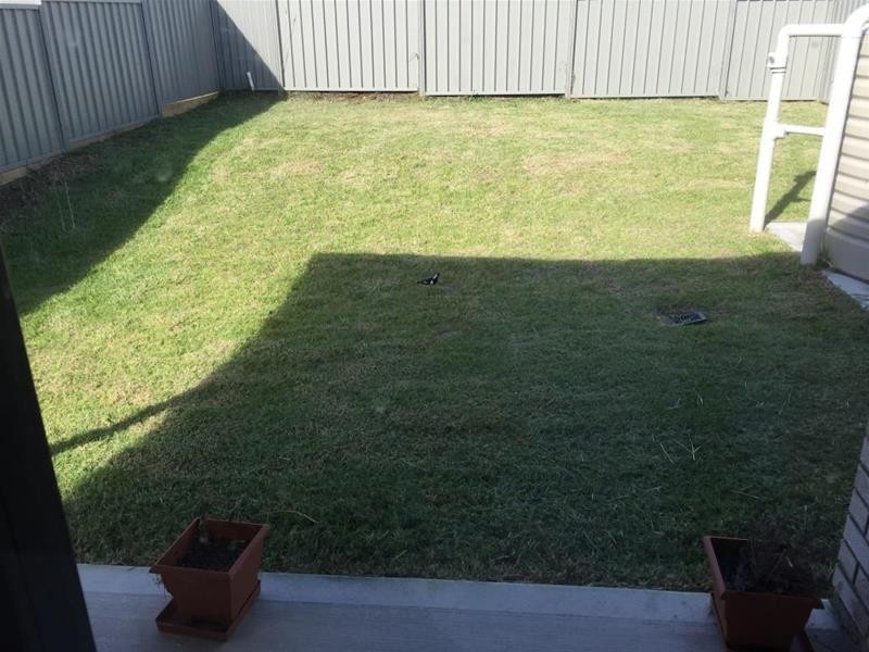 1/81 Box Hill Drive, Armidale NSW 2350