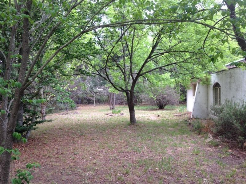 20 Pine Avenue, Arding NSW 2358