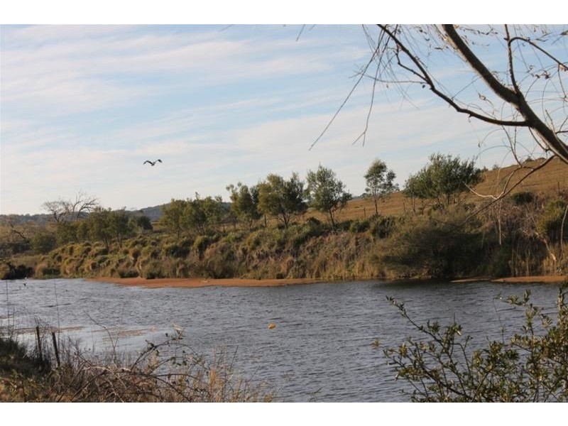 999 Castledoyle Road, Armidale NSW 2350