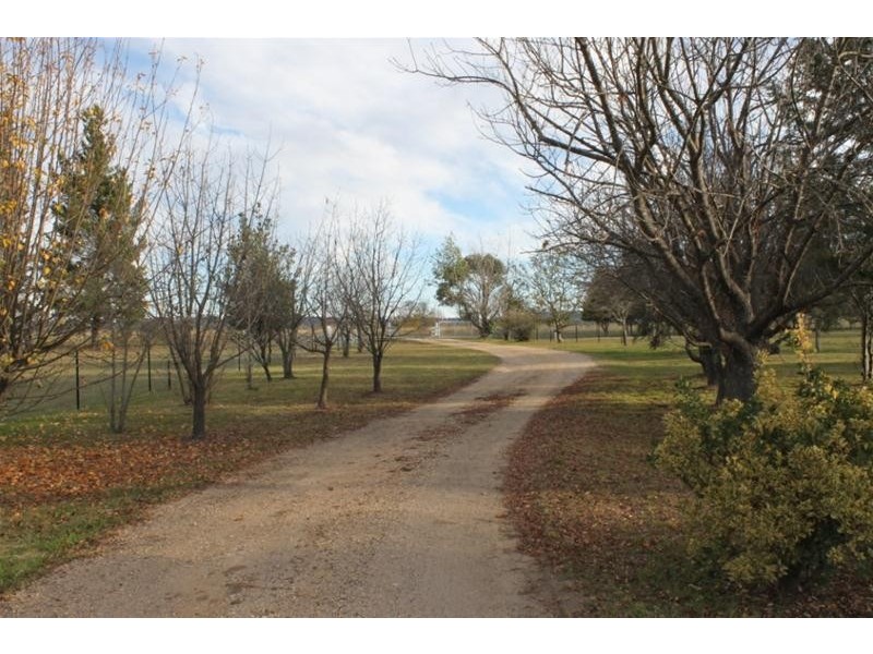 999 Castledoyle Road, Armidale NSW 2350