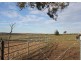 999 Castledoyle Road, Armidale NSW 2350
