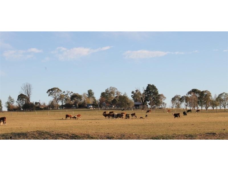 999 Castledoyle Road, Armidale NSW 2350