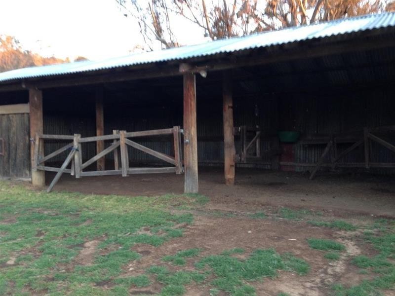 614 Puddledock Road, Armidale NSW 2350