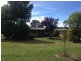 11 Douglas Street, Armidale NSW 2350