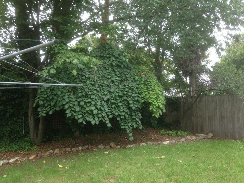 7 McKeon Avenue, Armidale NSW 2350