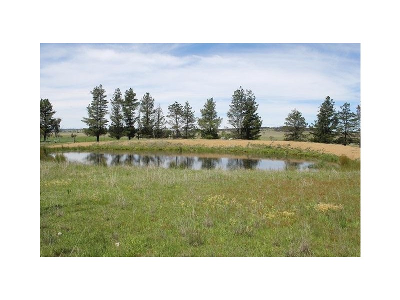 73 Fosters Road, Armidale NSW 2350