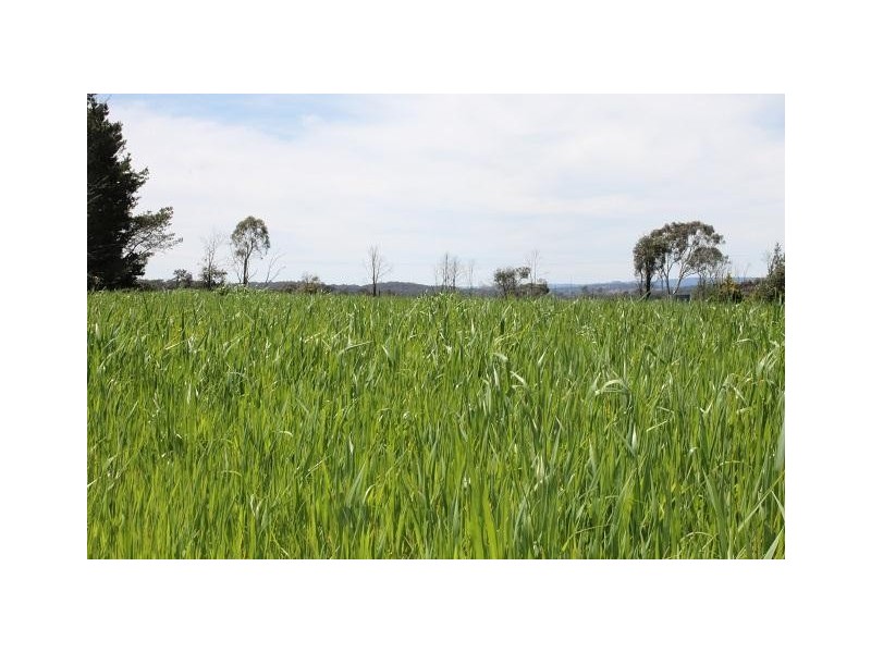 73 Fosters Road, Armidale NSW 2350