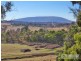 Grandview Crescent, Armidale NSW 2350