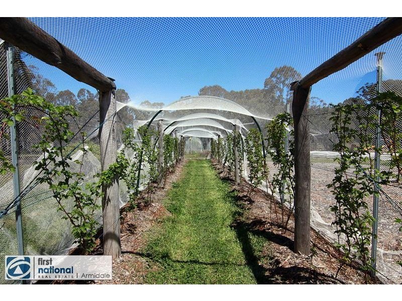 469 Donald Road, Armidale NSW 2350